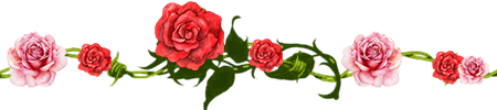 Diseño